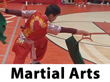 Martial Arts